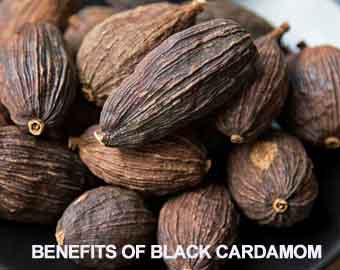 Health benefits of black cardamom