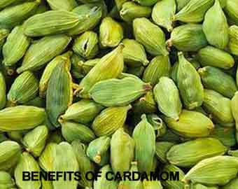 Health benefits of cardamom